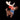 Christmas Reindeer - Holofex