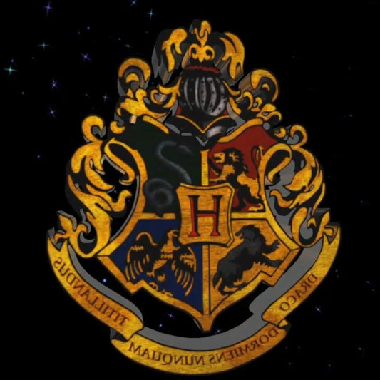 Harry Potter Hologram